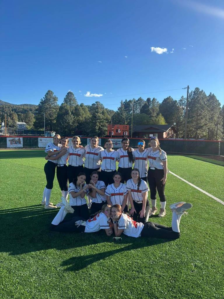 picture of softball team
