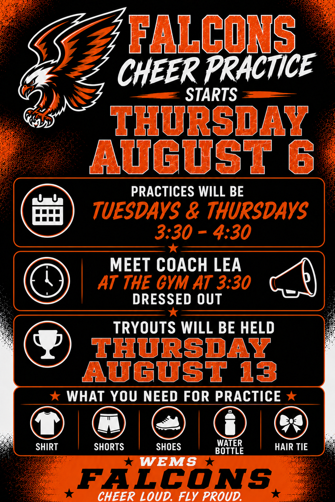 Cheer flyer