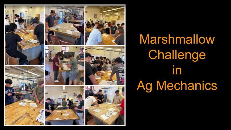 Marshmallow Challenge in Ag. Mechanics