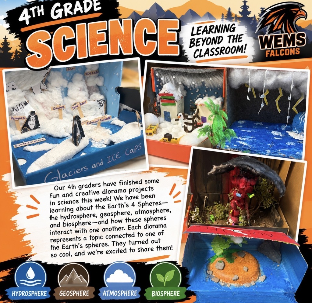 4th Grade Science Diorama Projects