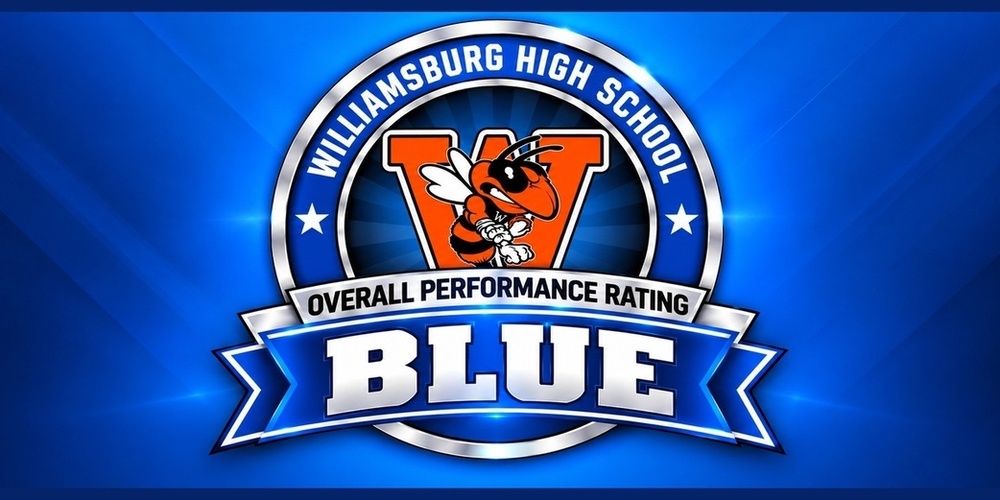 KSA-Blue Overall Performance Rating
