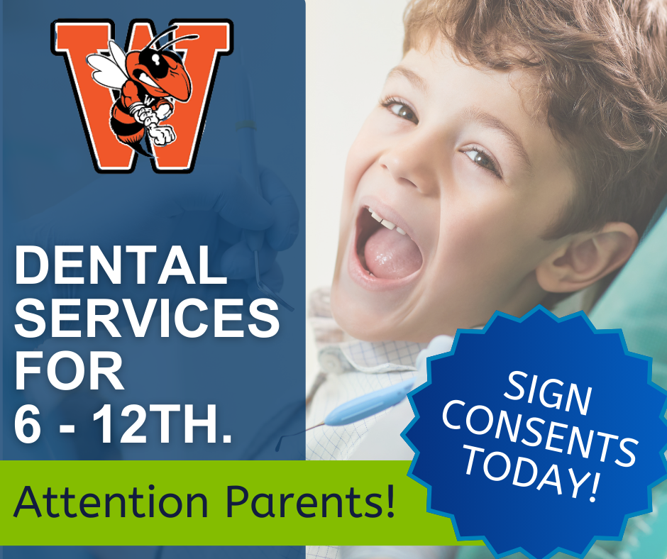 Dental Services For 6-12th