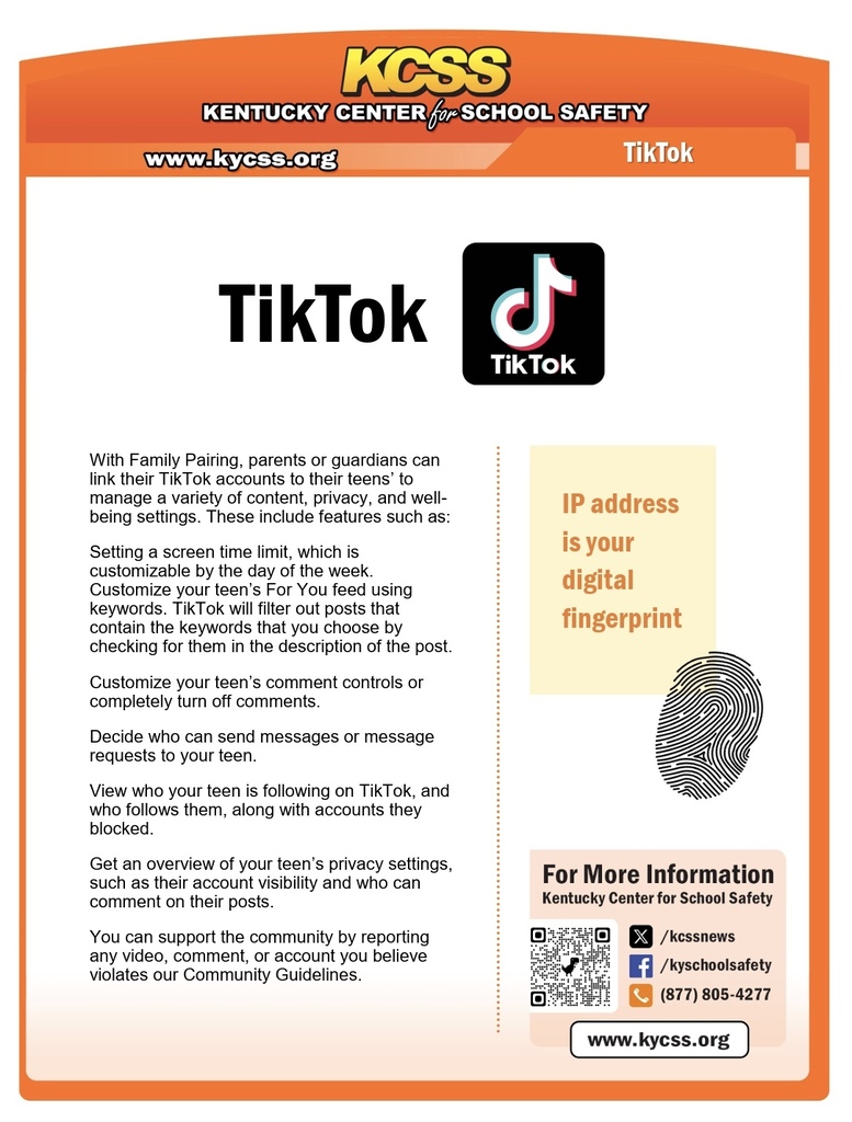 TikTok Safety