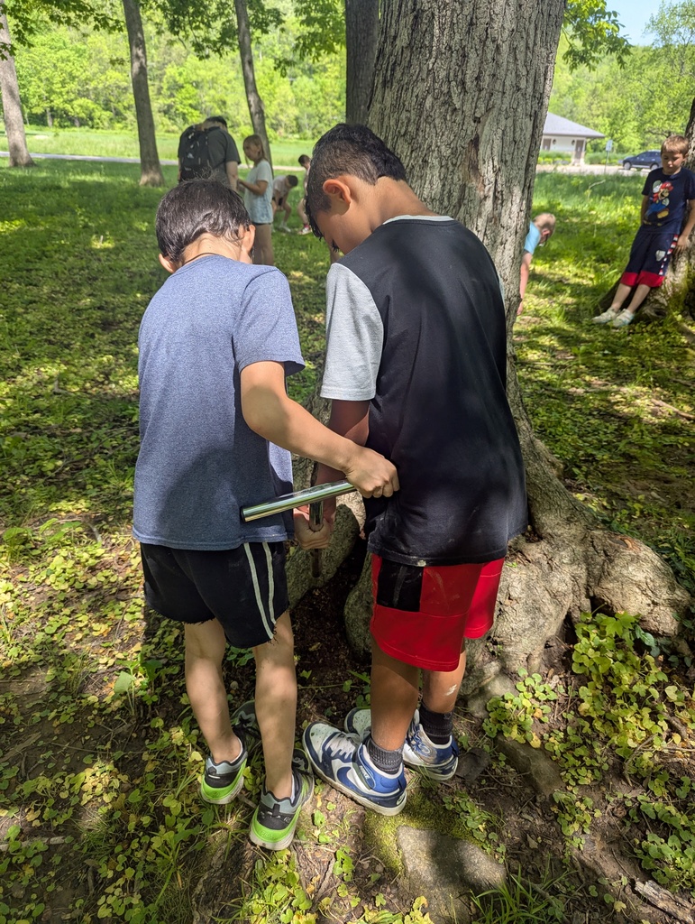 Kids at the park