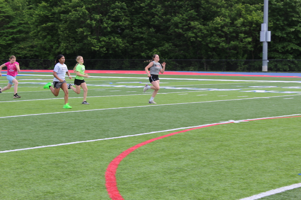field day