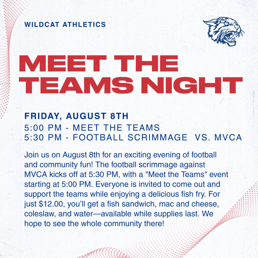 Meet the Teams