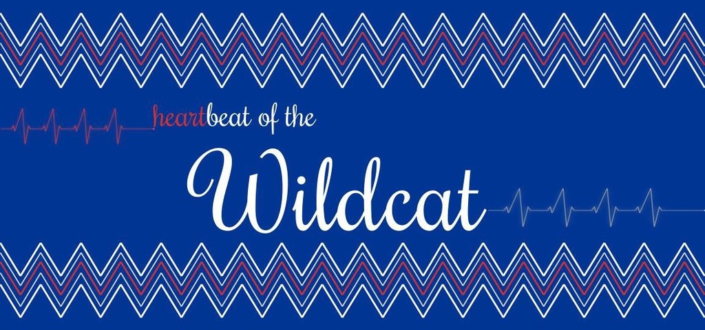 heartbeat of the wildcat