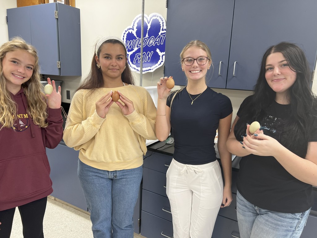 class with chicken eggs