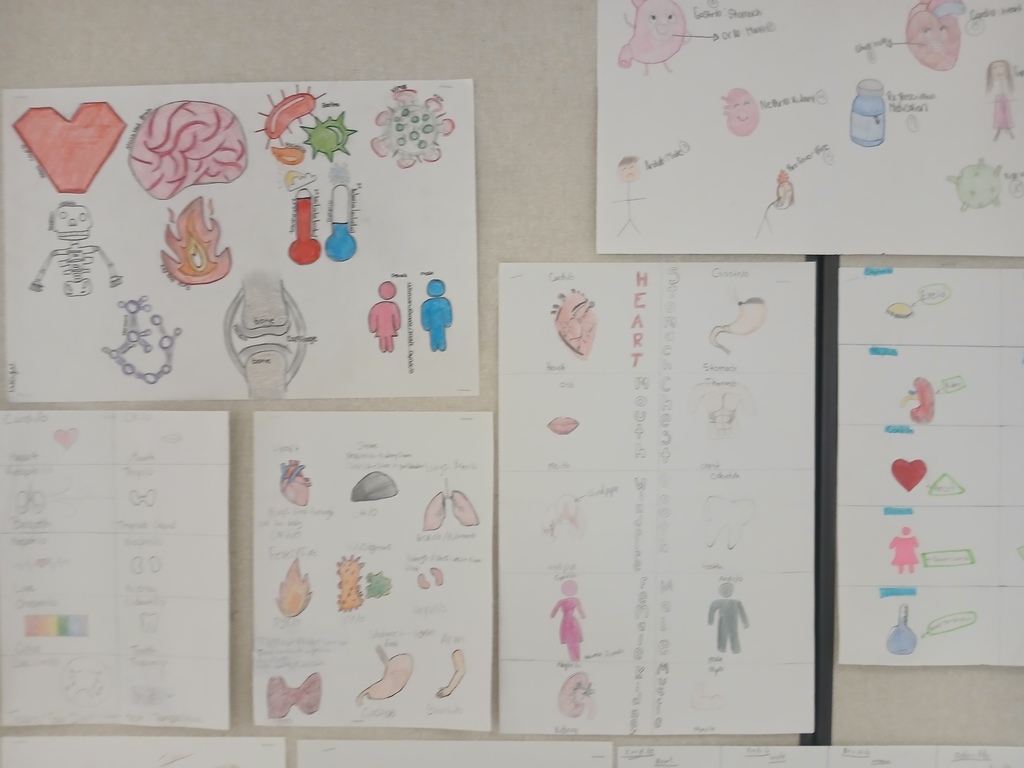 medical terminology 