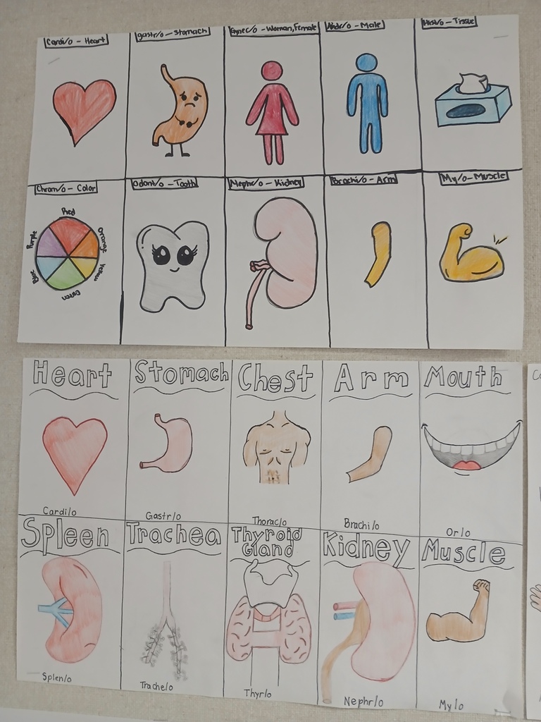 medical terminology 