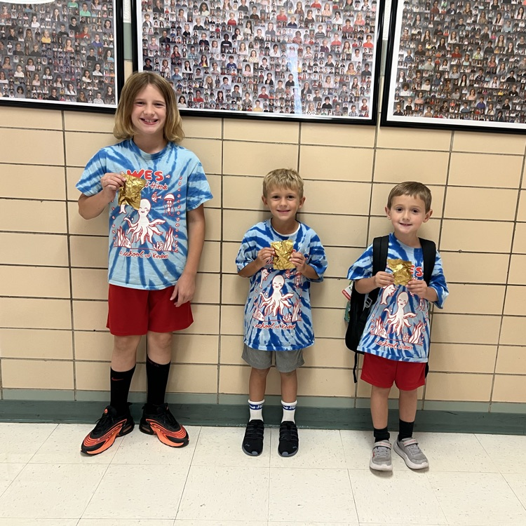 Today’s Golden Coop winners!