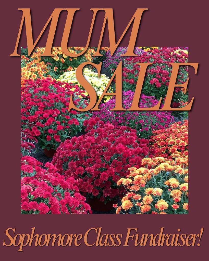mum sale