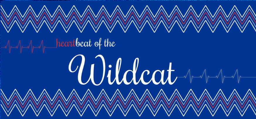 heartbeat of the wildcat