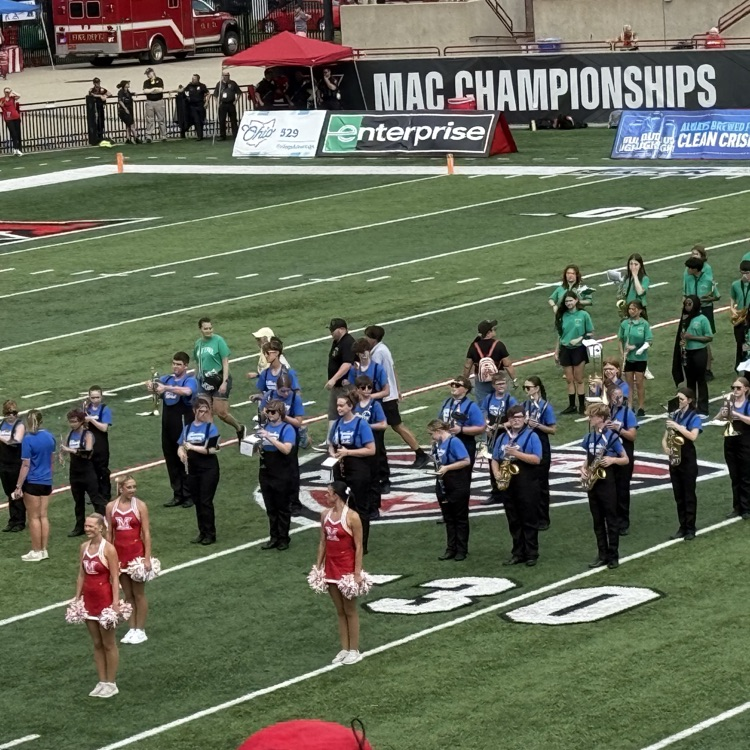 marching wildcats