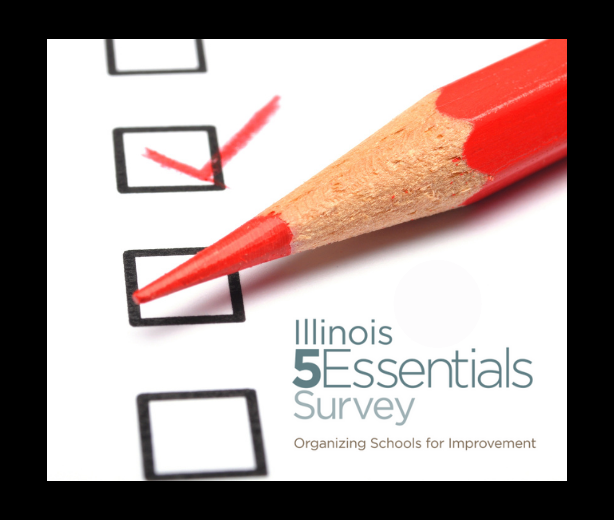 5 Essential Survey - Please Complete