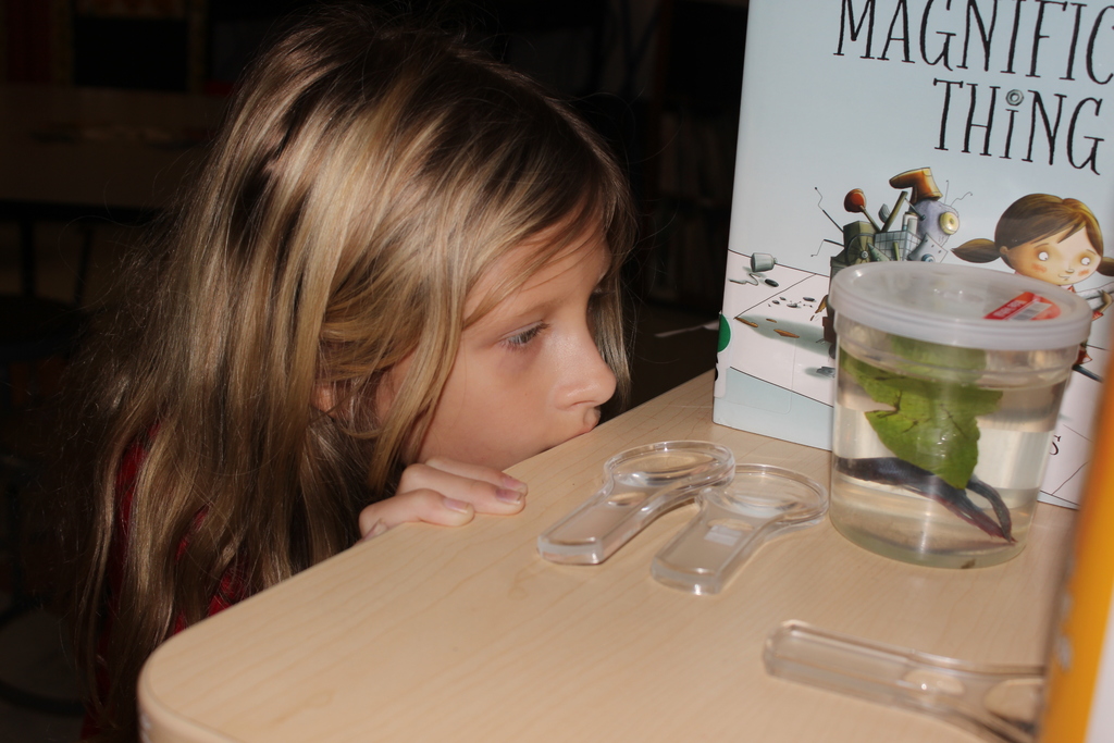 Observation Stations in Mrs. Lainhart's class
