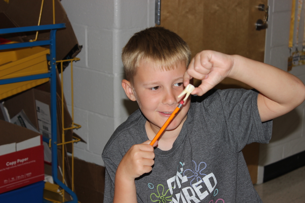 Observation Stations in Mrs. Lainhart's class
