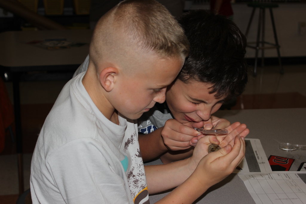 Observation Stations in Mrs. Lainhart's class
