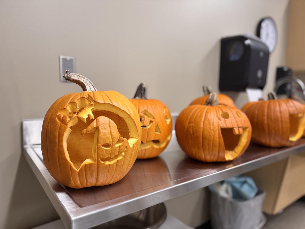 4 carved pumpkins
