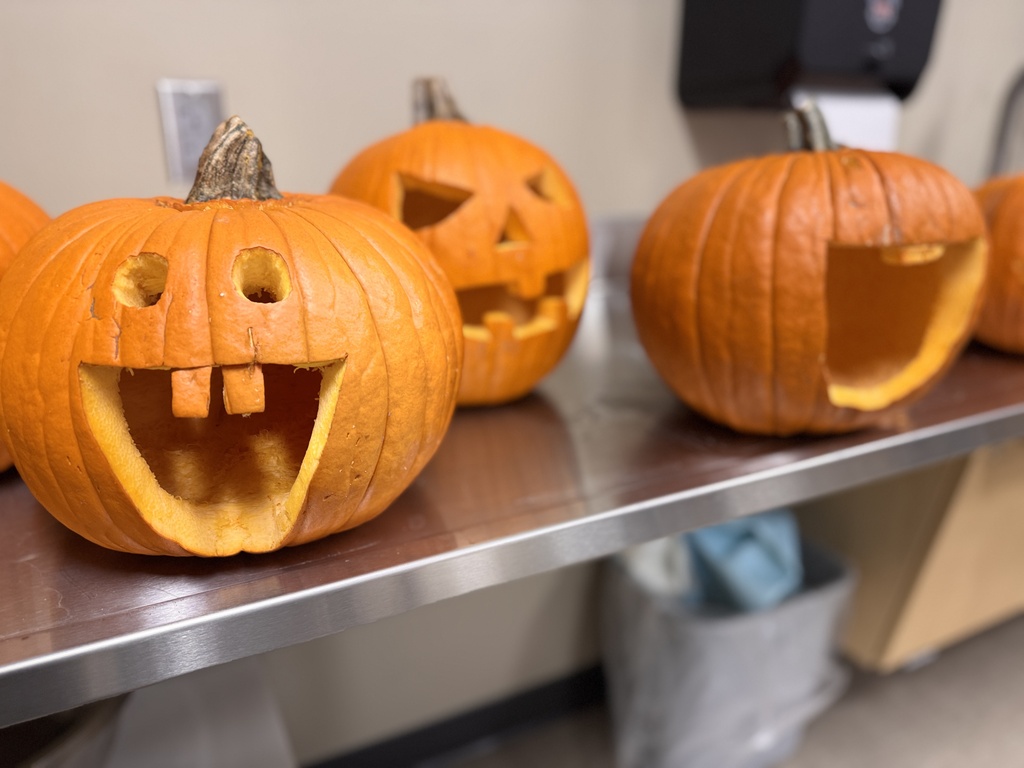 3 carved pumpkins