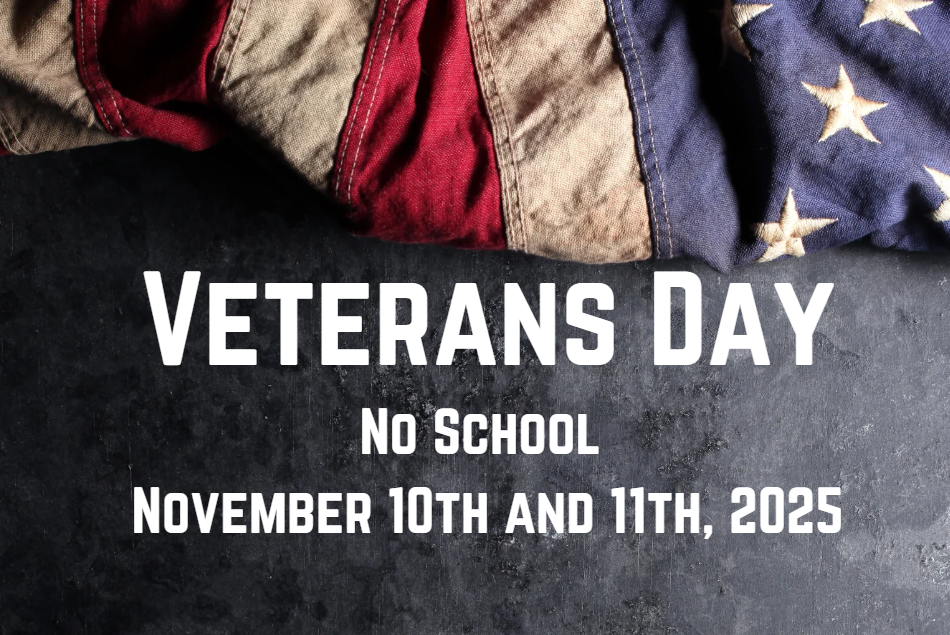 Veterans Day Graphic