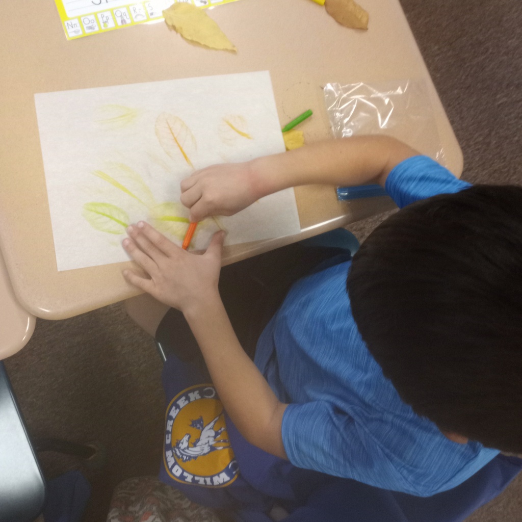 Art with leaves