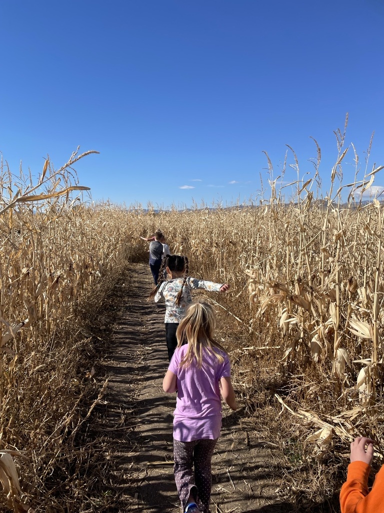 Edgewater Farms