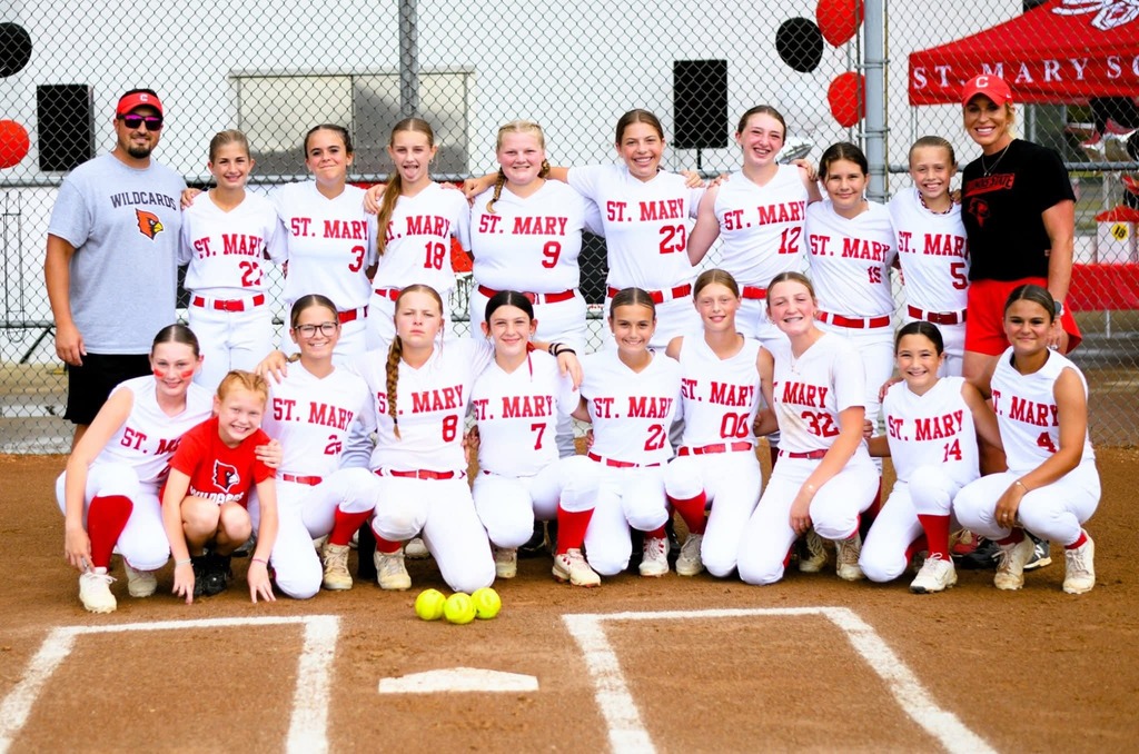 wildcard softball