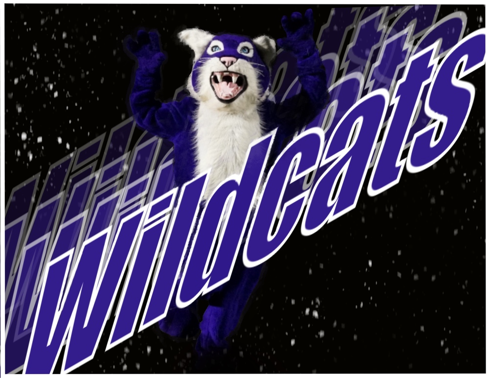 Willy Wildcat