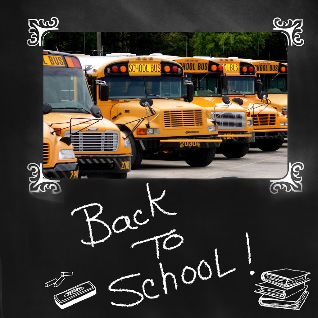 Bus & Student Vehicle Information