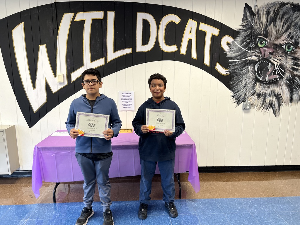 Wildcat 1