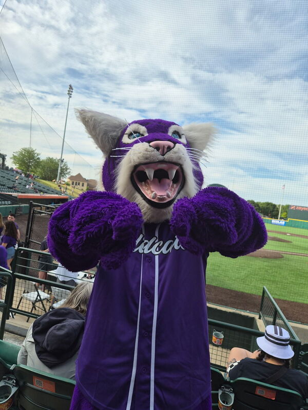 Willy Wildcat