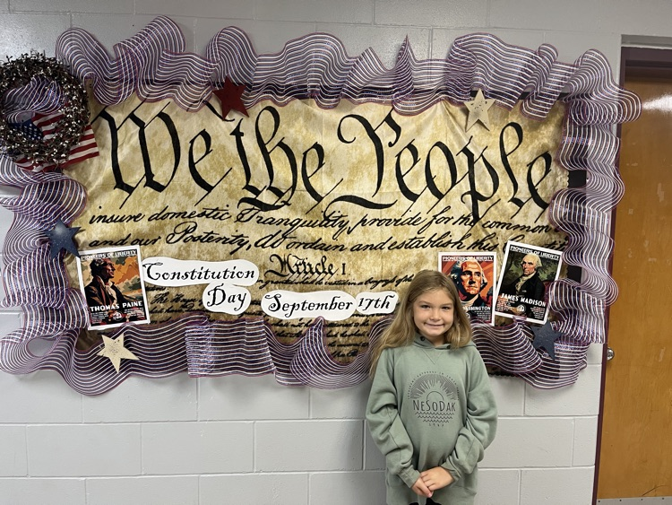 constitution