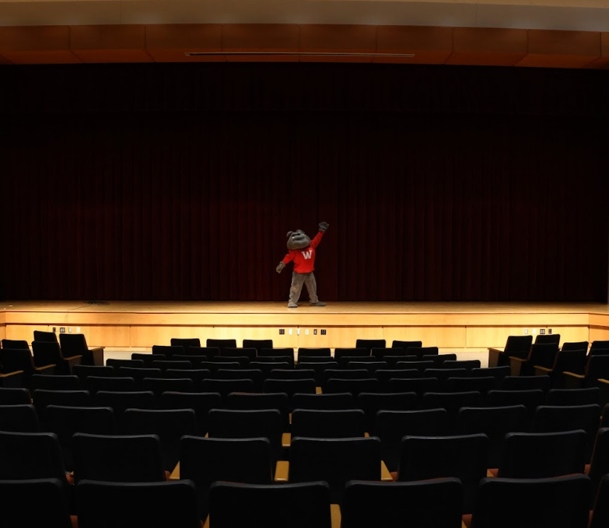Bulldog in the center of the stage with auditorium seats in the view