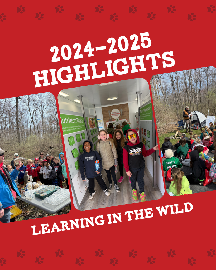 2024-2025 highlights learning in the wild