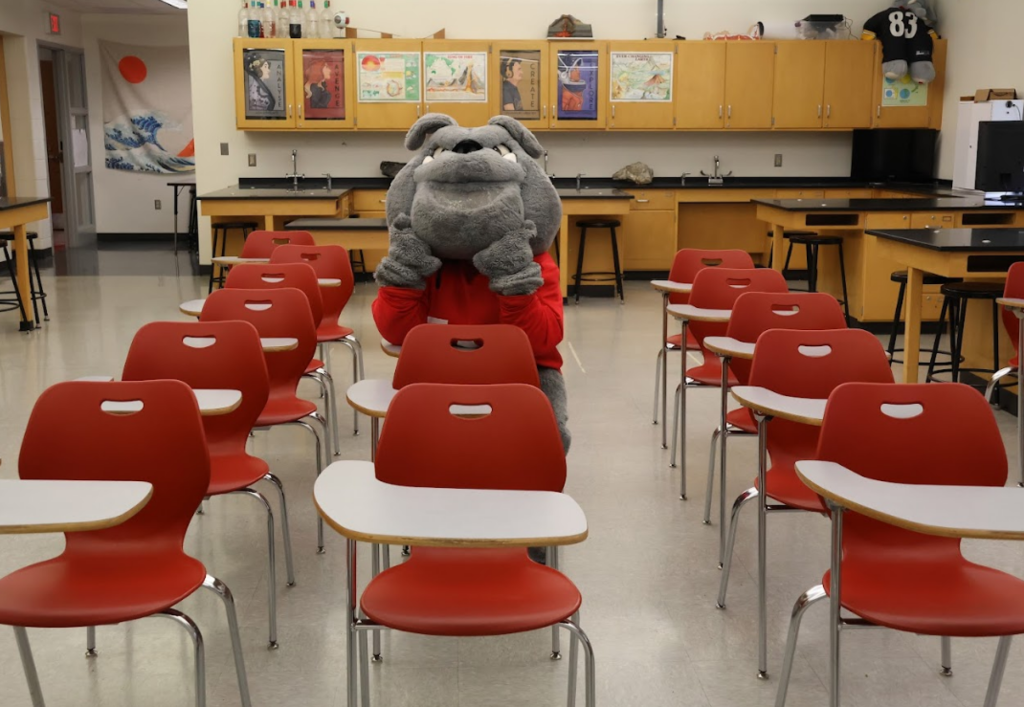 Bulldog mascot sitting at desk in classroom