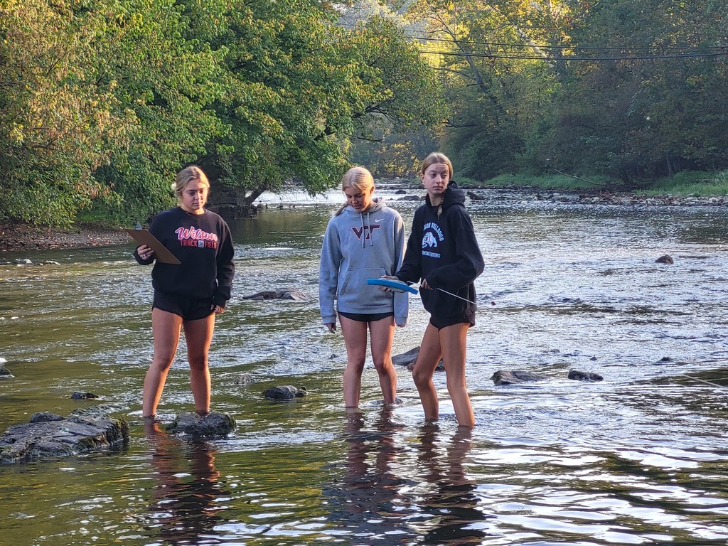 students in creek with equipment 