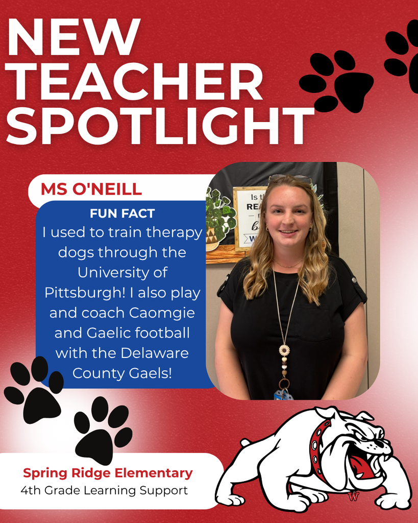 Spring Ridge Elementary 4th Grade Learning Support ms O'Neill nEW TEACHER SPOTLIGHT FUN FACT I used to train therapy dogs through the University of Pittsburgh! I also play and coach Caomgie and Gaelic football with the Delaware County Gaels!