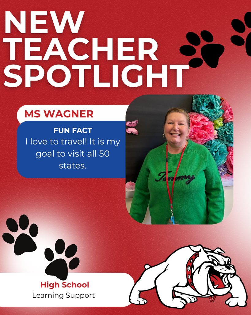 Ms Wagner fun fact I love to travel it is my goal to visit all 50 states high school learning support