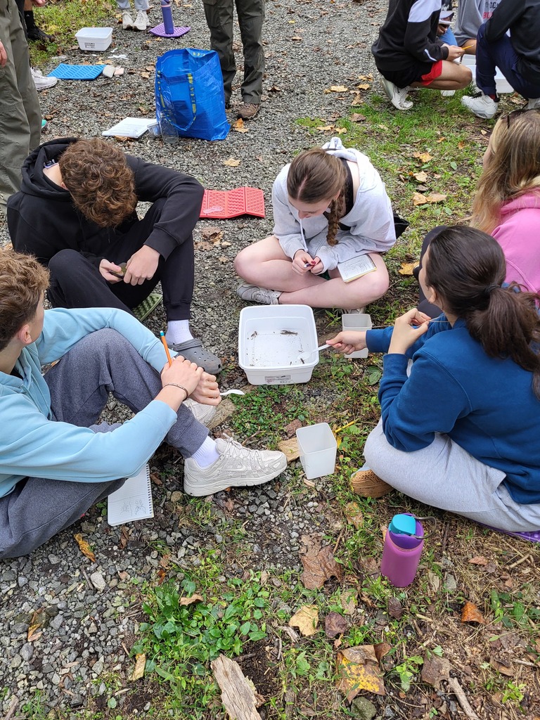 students examining findings