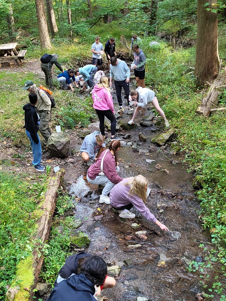students in creek