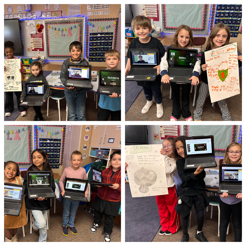 students with computers studying spiders