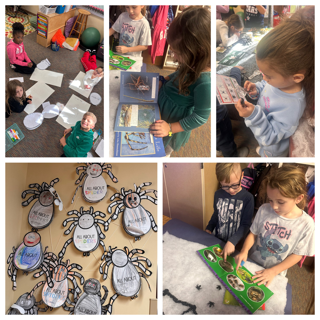 students studying spiders