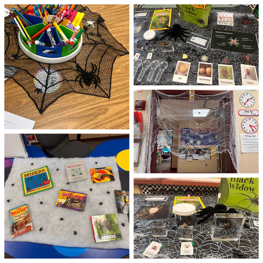 spider webs around the classroom