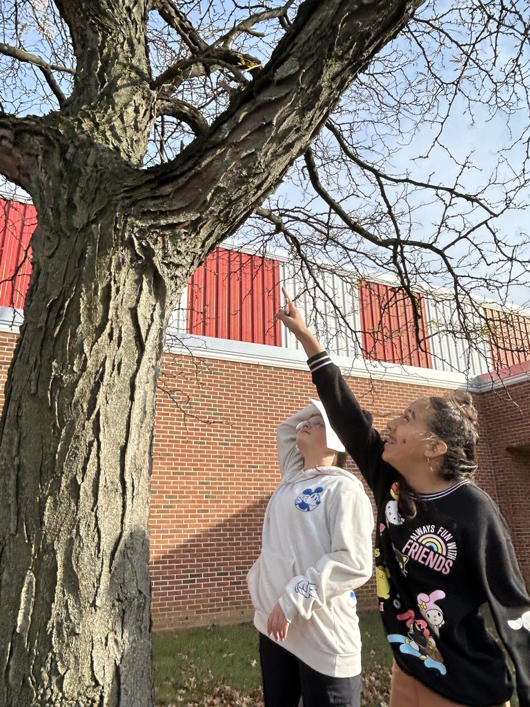 students pointed at trees