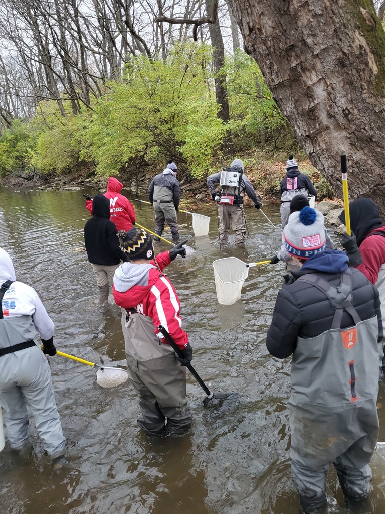 kids in water with nets and winter gear on while teachers have mechanical backpacks that shock fish 