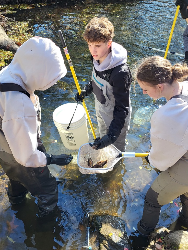 kids catching fish in net one holding bucket all in water and boots outside