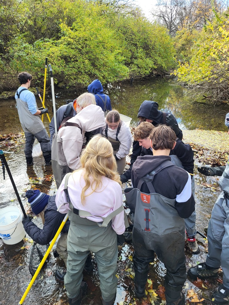 group of kids lookin at fish they caught while in shallow water