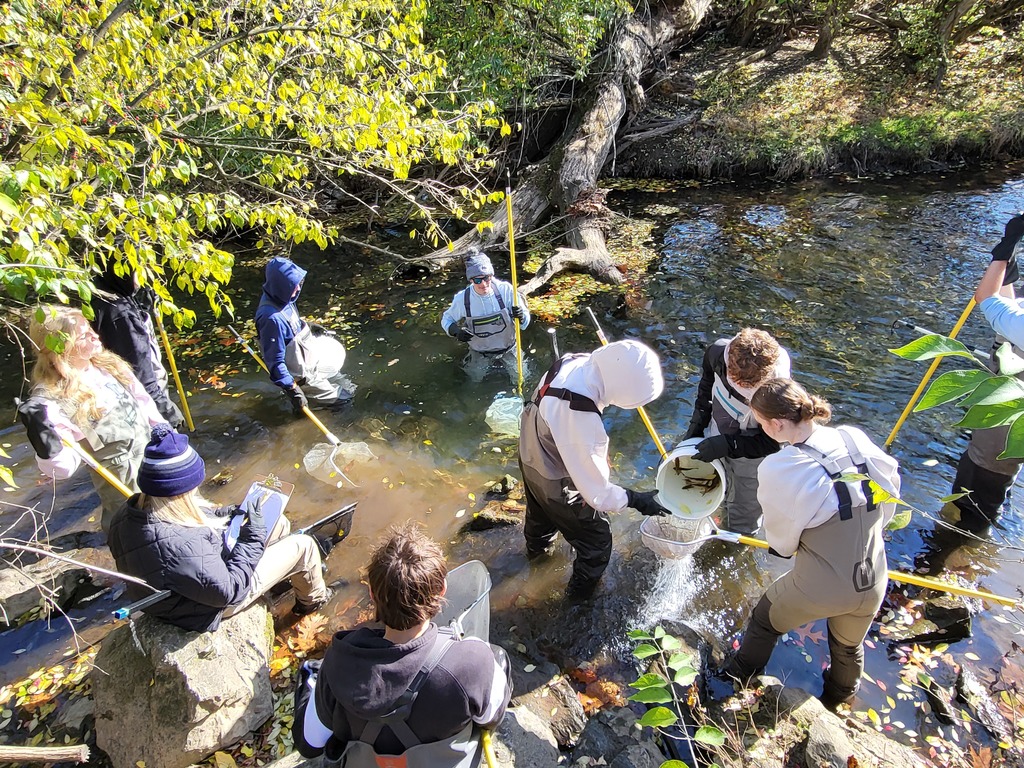 kids collecting data on clipboards while catching fish in buckets and nets 