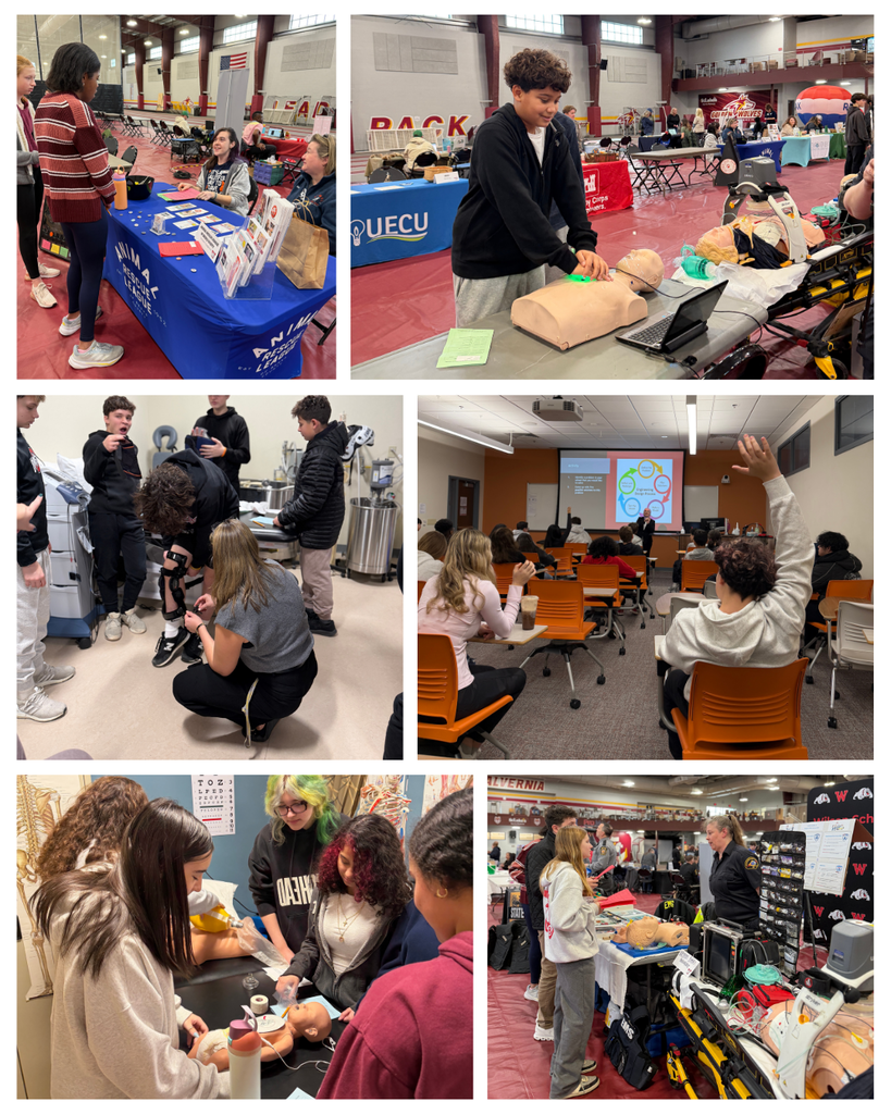 students talking to professionals at career fair